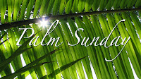 #ministryinmotionchurch #PalmSunday