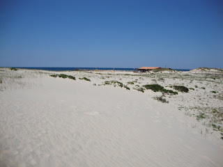 Foto Praia da vieira - extenso areal