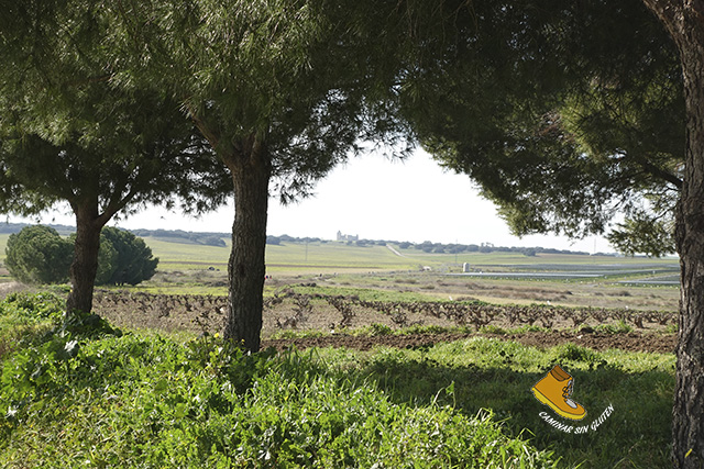 Vista del Castillo de Barcience desde el pinar de Huecas