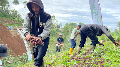 Sambut Panen Raya Yang ke 3, Dai Pemberdaya Berdayakan Petani Bawang Merah Kampung Cikawari   