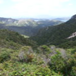 View album