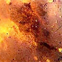 सुरक्षा बलों के वाहन परआत्मघाती हमले में 3 लोगों की मौत, 20 घायल..
