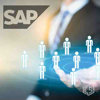 El maestro de clientes en SAP - Consultoria-SAP