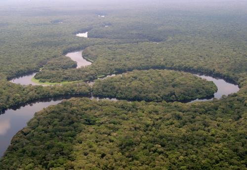 Taman Nasional Salonga