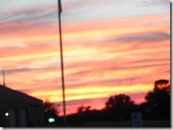 DSCN1513