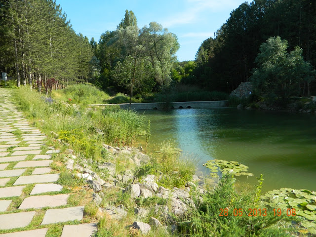 Picture of Green Valley Lake Beytepe Beytepe Ankara Hacettepe univerisites