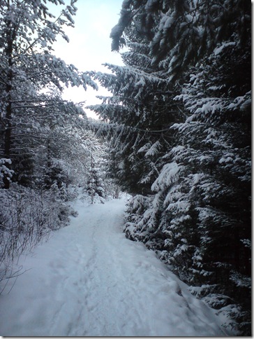 snøbilder 006