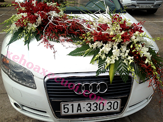 xe cưới Audi A4