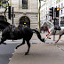 Sinais para o Apocalipse? Cavalo Preto e Cavalo Branco manchado de sangue da Cavalaria da Realeza Britânica andaram pelas Ruas de Londres