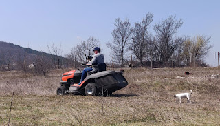 Angela mowing the top bank