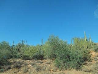 005dev-DSCF3842
