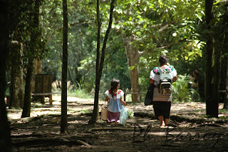 paysages mexique chiapas agua azul cascade blog voyage photo