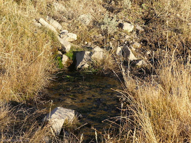 044: shallow pool of water