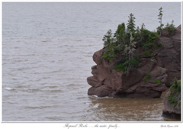 Hopewell Rocks: ... the water, finally...