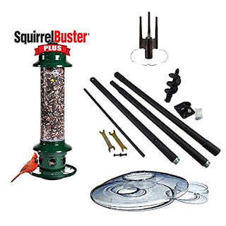 free standing squirrel proof bird feeder