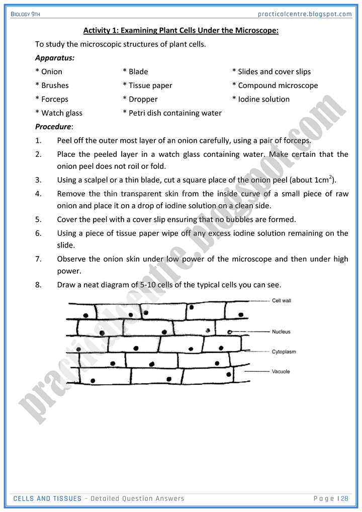 cells-and-tissues-detailed-question-answers-biology-9th-notes