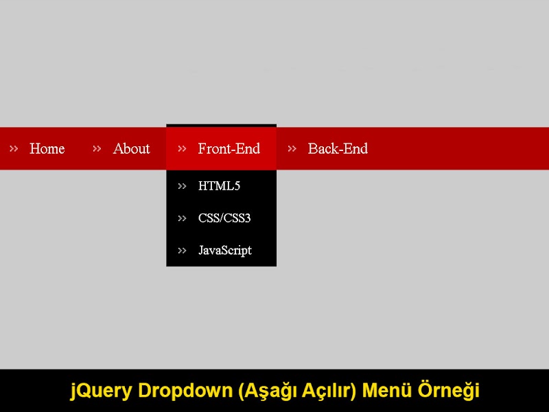 jQuery Dropdown (Aşağı Açılır) Menu Örneği