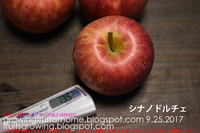 糖度-リンゴのシナノドルチェ
