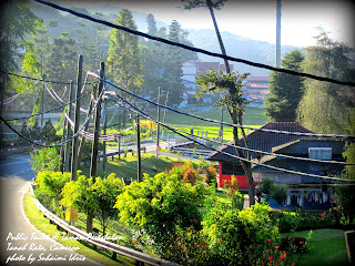 Marina Chalet and Homestay, Kampung Taman Sedia, Tanah Rata, Brinchang, Cameron Highlands,http://marinachalet.blogspot.com/ 