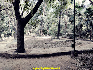 Green Park at Hauz Khash