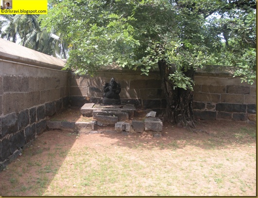 DSCN3196