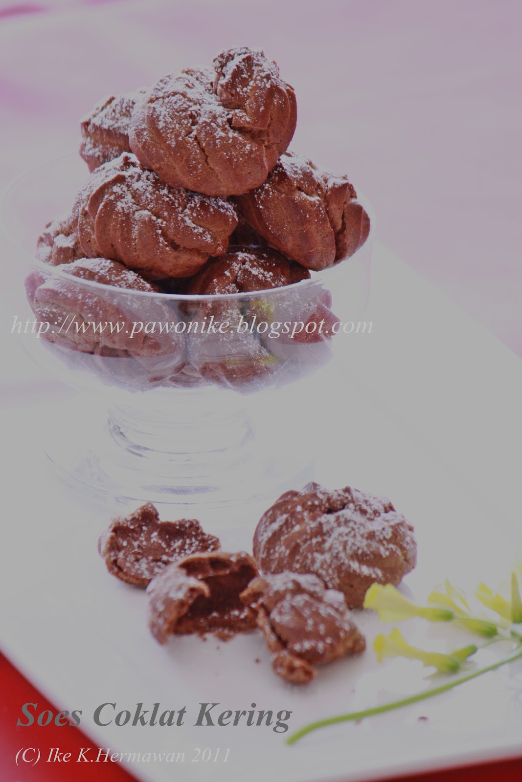 PAWONIKE - this is my kitchen rules: Soes Kering Coklat