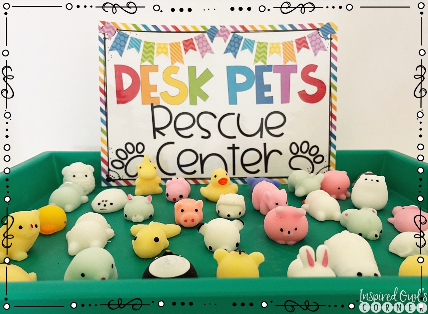 TargetTeachers - @mrskiswardysclass is organizing desk pets with