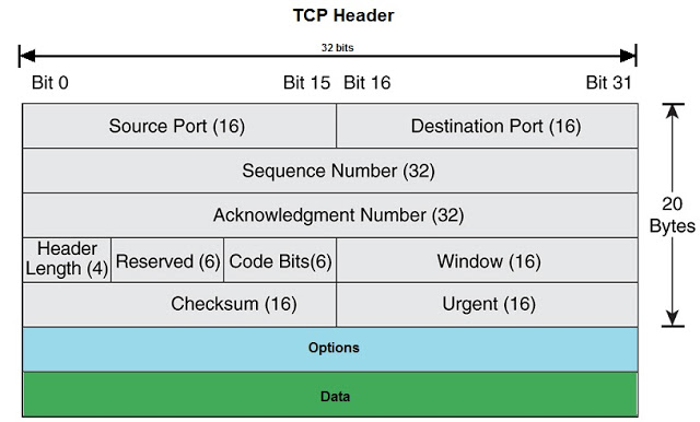 TCP Header Details, TCP Header