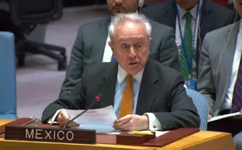 México apoya el ingreso de Palestina a Naciones Unidas