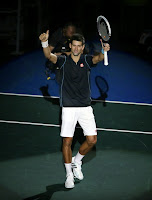 París 2013 - Djokovic frustra el gran torneo de Ferrer en París
