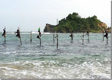 funny-fishing-03