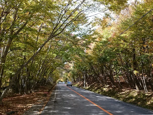 日本ロマンチック街道