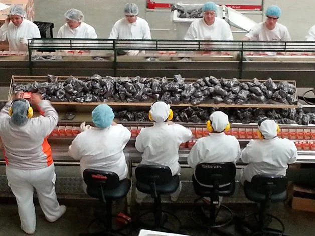 auxiliar de produção