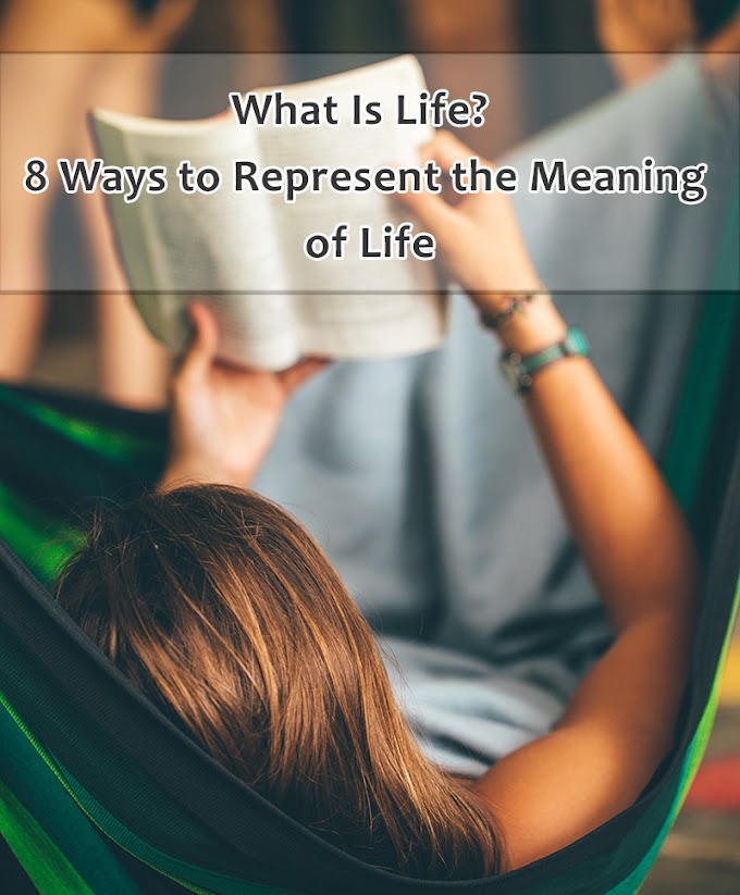 What Is Life? 8 Ways to Represent the Meaning of Life