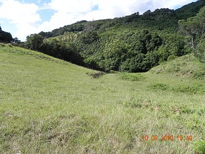 Custo justo açores