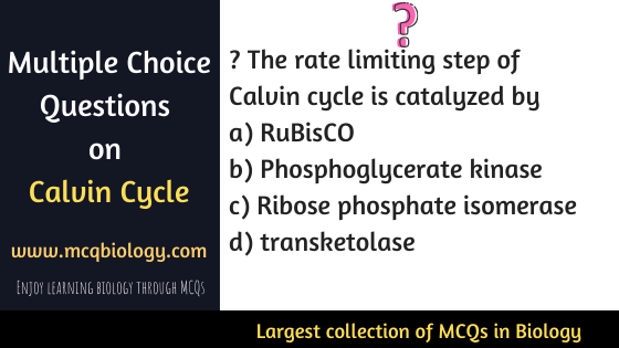 MCQ on Calvin Cycle