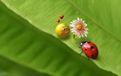 Smiley_in_Love_Wallpaper