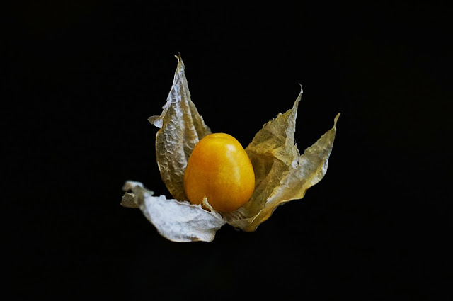 Alchechengi. Come sceglierli, come usarli in cucina.