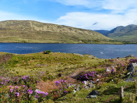 le Connemara