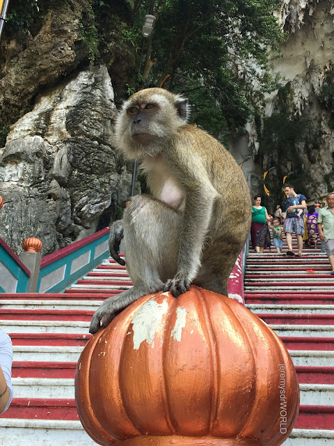 jeremysdrWORLD: Apa Khabar Kuala Lumpur, Malaysia