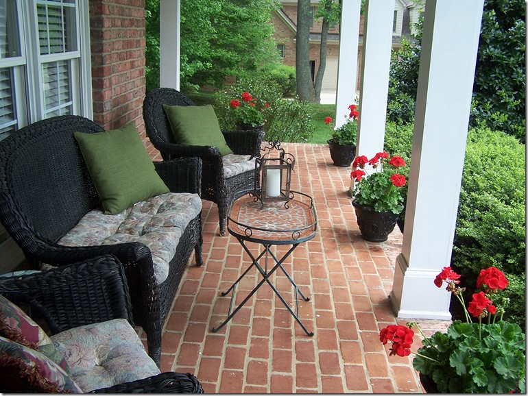Geraniums 2010 007