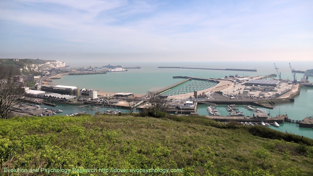 View from St Martin's Battery on the Western Heights. Shows White Cliffs of Dover beyond Eastern Docks and Eastern Arm Pier, Southern Breakwater, new Marina pier, Dover Western Docks Revival, part of Admiralty pier, Wellington Dock, Granville Dock and seafront.