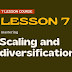 Scaling and Diversifying Your Business  lesson 7