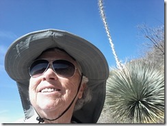 20160405_091247