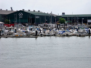 funabashi fishing port