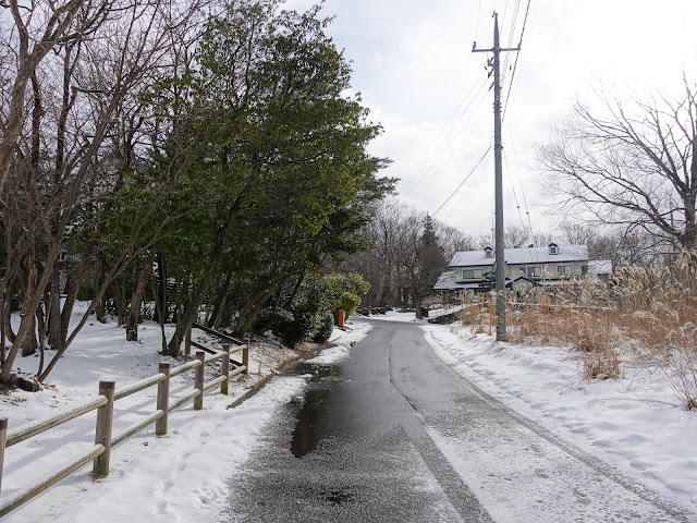 トマト通り