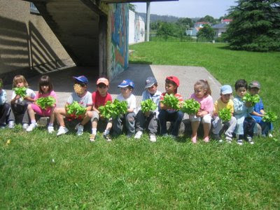 fotos de los niños con las lechugas