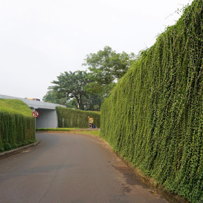 taman vertikal Green facade