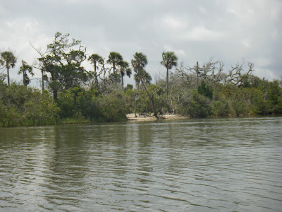 Canaveral National Seashore Campsite