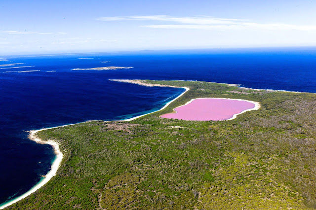 pink hillier lake, pink hillier lake western Australia, wonder of nature, Australia, island of country, lake, amazing pictures, unbelievable pictures 